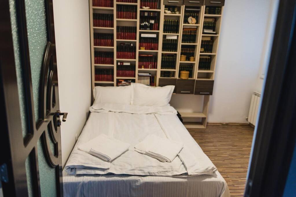 2 Bedroom Apt Park Belvedere シビウ エクステリア 写真
